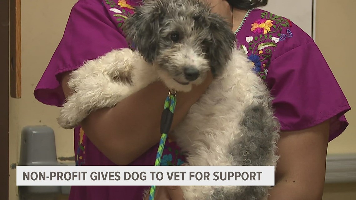 Non-profit 22Mohawkes gives puppy to U.S. Army veteran