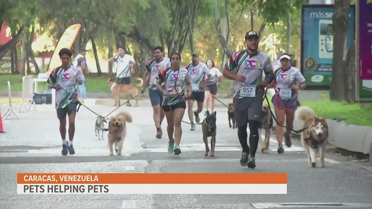 Venezuelans run with their dogs to raise money for shelter pets