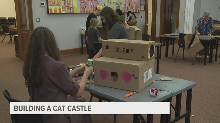 Family members creating 'cat castles' for their four-legged friends this week at Rock Island Public Library