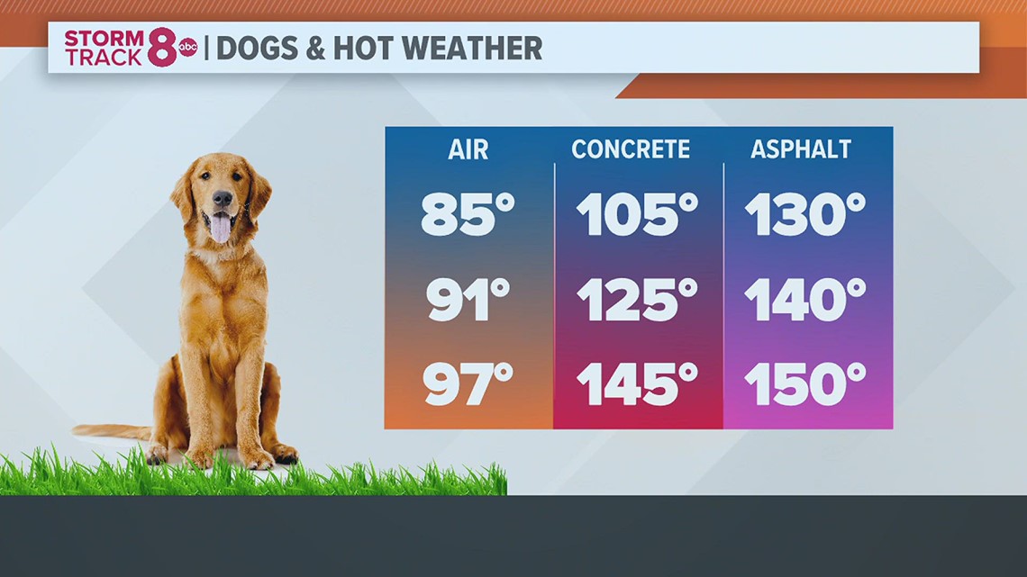 Ask Andrew: Is it safe to walk the dog on a cloudy day with temperatures in the 80s?