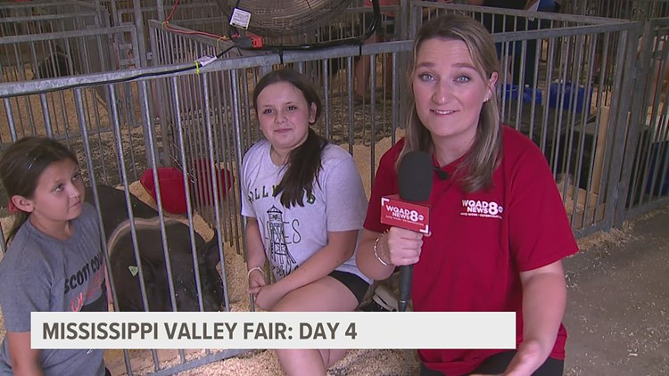 The swine have arrived at the Mississippi Valley Fair