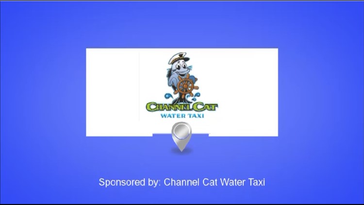 Channel Cat  - August 2023