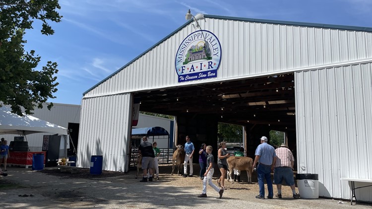 Meet the livestock and the people who raised them at the Mississippi Valley Fair