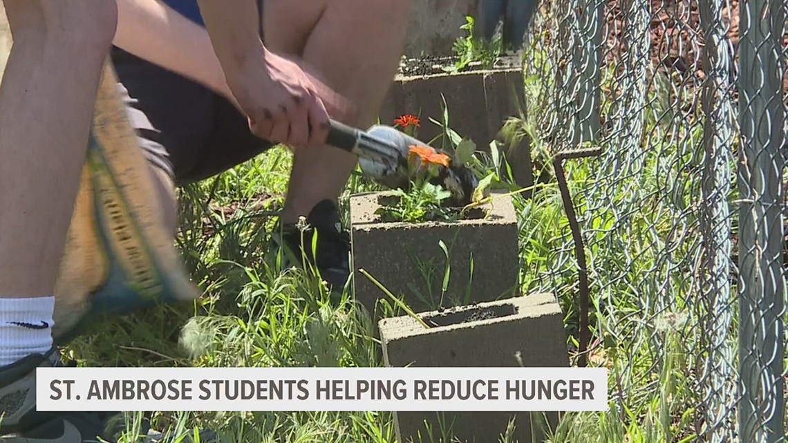 St. Ambrose students partnering with outreach group to help those in QC food deserts
