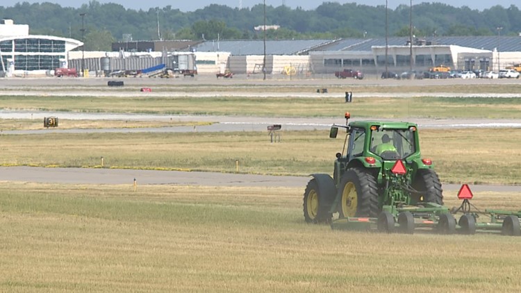 Did you know: grass length could affect your flight at QC Intl. Airport